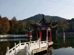 -青龙山国家森林公园