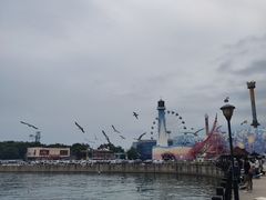 -大连圣亚海洋世界