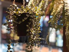 -0574龙虾的故事(东裕店)