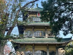 -东湖听涛景区