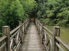 -江南天池