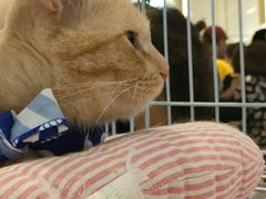 -远洋未来广场(育慧北路店)