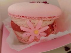 半熟花花马卡龙玫瑰双莓芝士味-好利来(五一广场店)