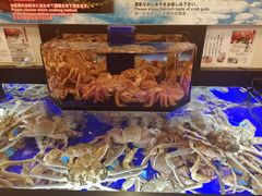 -蟹道乐(道顿堀本店)