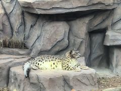 -青藏高原野生动物园