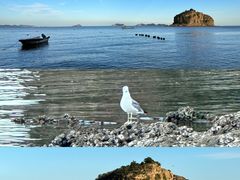 -棒棰岛宾馆景区