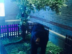 -唯尚主题式KTV(红谷滩店)