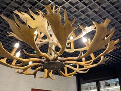 -鹿园 MOOSE(长宁店)