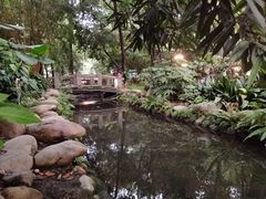 -成都市活水公园