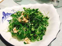 -正阳春烤鸭店(杨楼店)