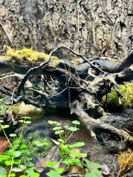 点击看大图 -酷嗒动物文化乐园(cutezoo西溪乐天城店)