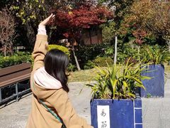 -天龙八部武侠城