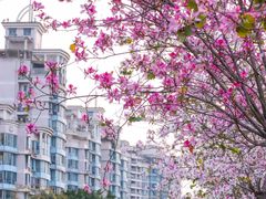 -文华公园(禅城区)