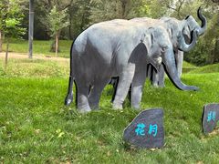 -北京野生动物园