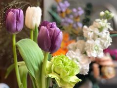 -Again Coffee Roaster(香蜜湖店)