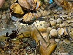 -领鲜活海鲜榴莲自助火锅(东门店)