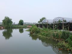 -马陆小张葡萄园农家乐