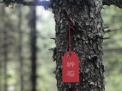 -硗碛藏寨·神木垒景区