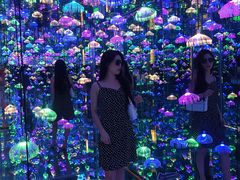 -杭州西湖星空魔幻城(星空艺术馆品牌旗舰店)