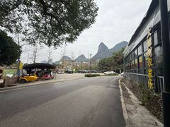 -遇龙河大樟树农家乐