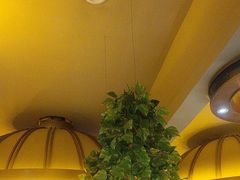 -蒙古人烤羊大师·绿野餐厅(工农大路店)
