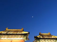 -北陵公园