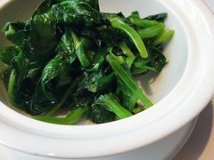 清炒豆苗-苏浙总会(国金中心店)