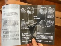 -怀托摩萤火虫洞