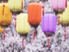 -江宁织造博物馆