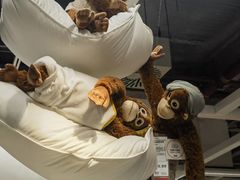 -宜家家居(四元桥商场店)