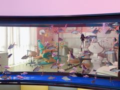 -牙博士口腔(杨浦店)