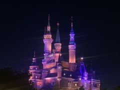 -小熊维尼历险之旅