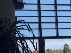 -亚龙湾喜来登·美景台大堂吧