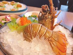 -Mr·Fish鱼鲜生海鲜放题(银泰in99店)