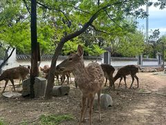 -观唐（国际）度假村温泉