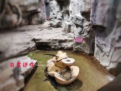 -泉城欧乐堡海洋极地世界