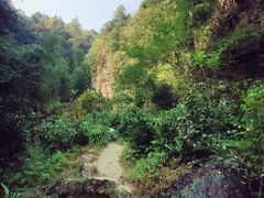 -石台牯牛降景区