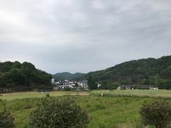 -柘林湖生态鱼馆