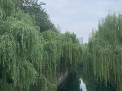 -解放阁