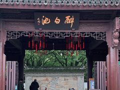 -上海醉白池公园