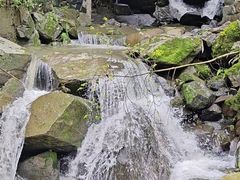 -藏龙百瀑风景区