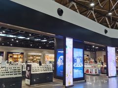 -谢列梅捷沃国际机场