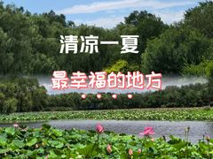 -东郊湿地公园
