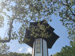 -上海佘山国家森林公园天马山园