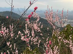 -北高峰