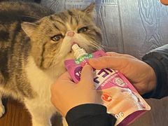 -参差咖啡(水果湖公园店)