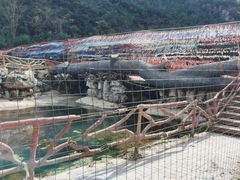 -大平台龙居瀑布旅游区