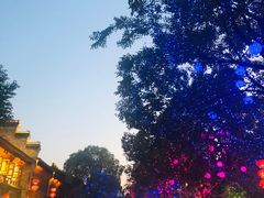 -志龙皇冠吃货椰子铺