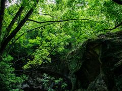 -柯岩风景区