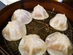 鲜肉小笼-德兴馆(广东路总店)